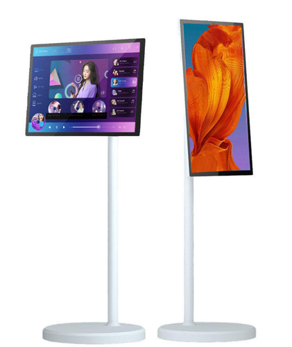 Portable rolling tv - tv,
